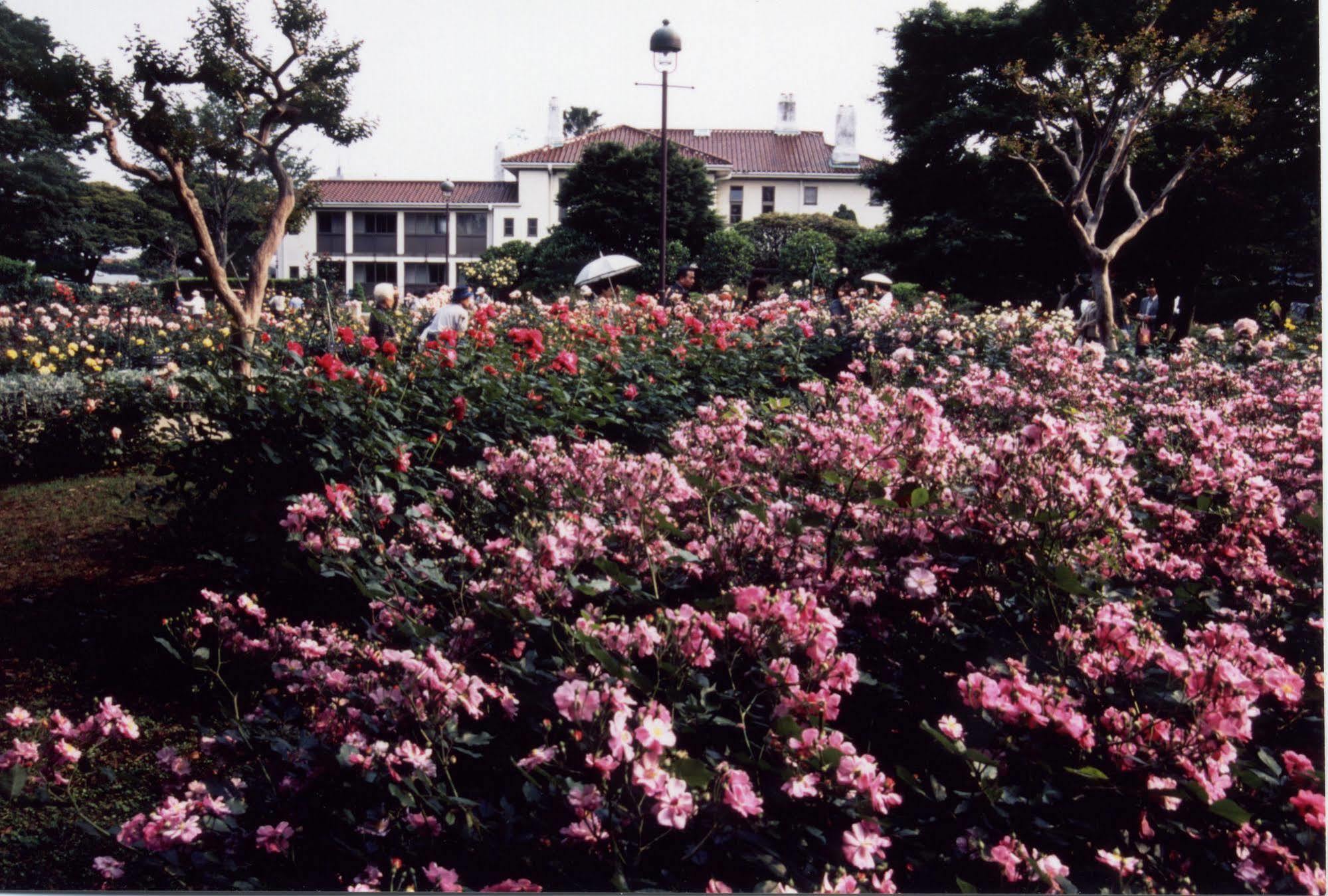 Sotetsu Fresa Inn Yokohama Totsuka Kültér fotó